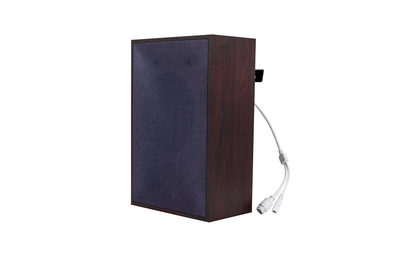 IP箱式扬声器
